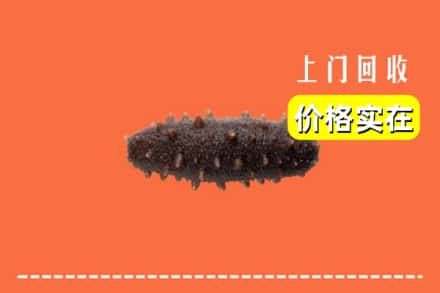 诚信求购:正蓝旗高价回收海参