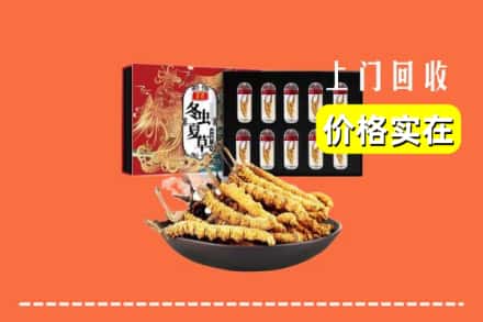 正蓝旗回收虫草